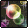 Equipment image for Friendship - Happiness [Ele A]