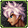 Equipment image for Byeori's Curly Hair [Type B]
