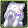 Equipment image for Waterbomb Festival Decorated Cat Towel [Type E]