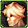 Equipment image for Michaela of the Holy Eye's Solemn Curls