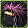 Equipment image for Hell Bringer's Lion Fur Belt [Type A]