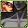 Equipment image for Beaver Grey Skin